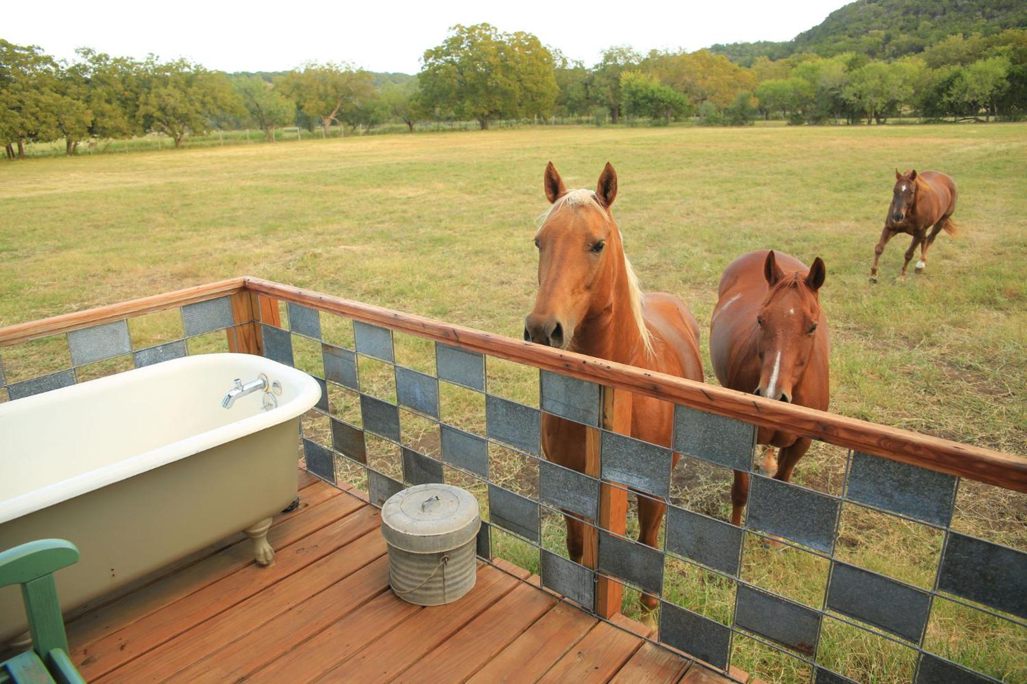 Vila Montesino Ranch Lodging Wimberley Exteriér fotografie
